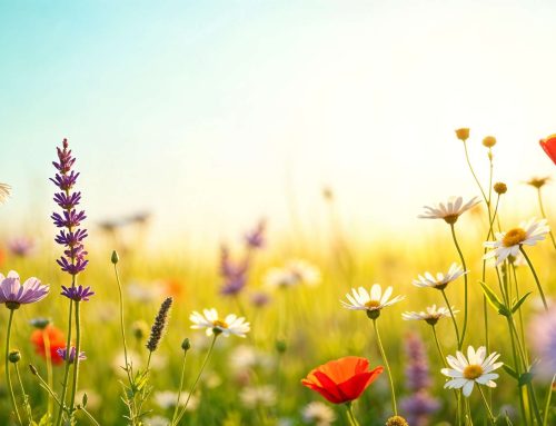 Que faire au printemps autour de Tonneins ? Activités nature & balades