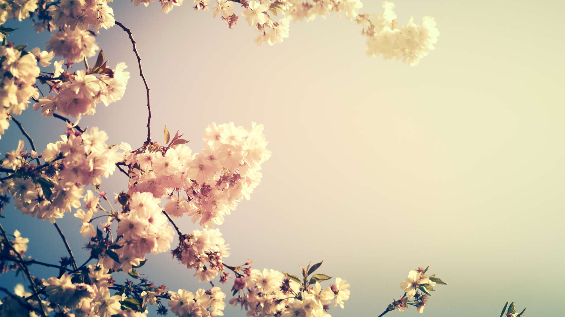 Que faire tonneins printemps Côté Garonne Hotel-Restaurant à Tonneins - Hôtel de Charme à Tonneins – 2