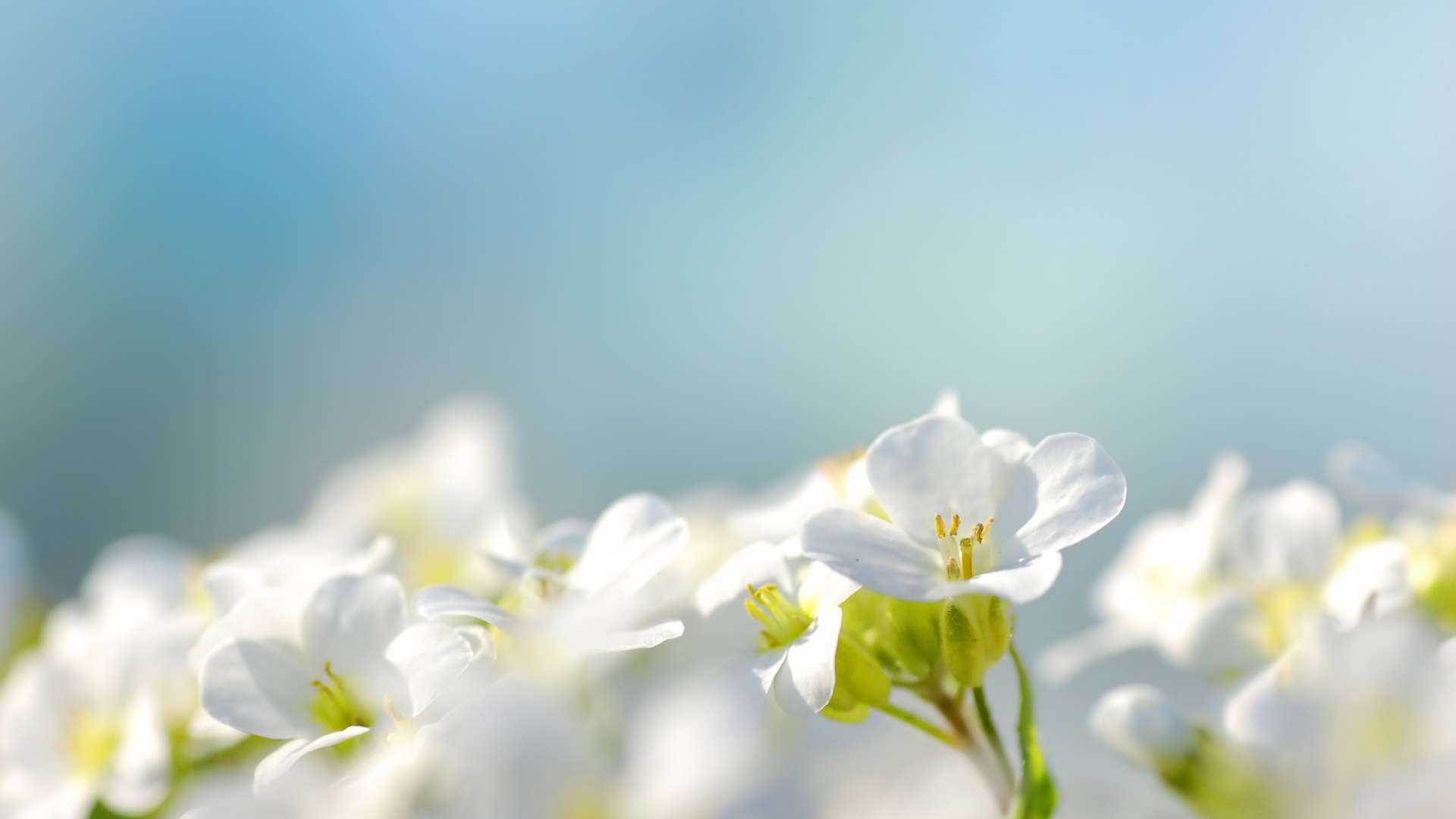 Que faire tonneins printemps Côté Garonne Hotel-Restaurant à Tonneins - Hôtel de Charme à Tonneins – 3