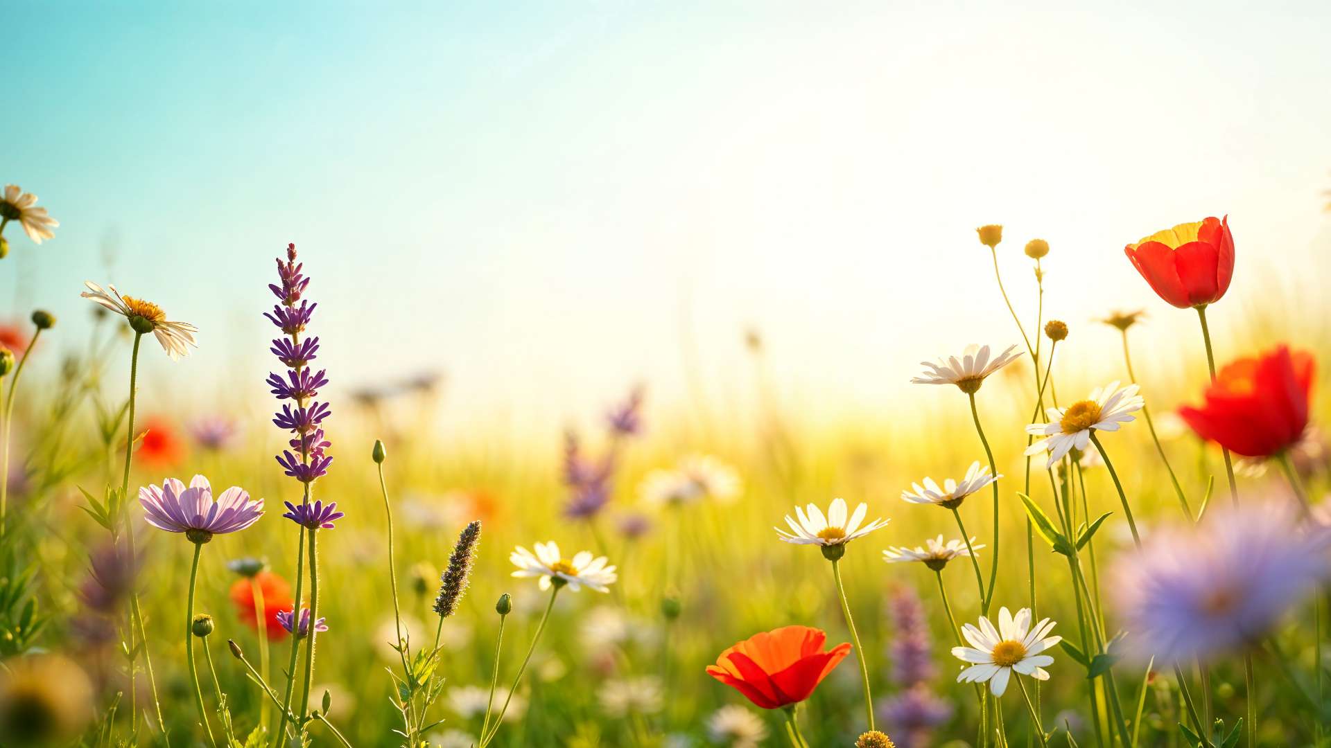 Que faire tonneins printemps Côté Garonne Hotel-Restaurant à Tonneins - Hôtel de Charme à Tonneins