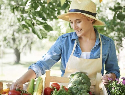 Les marchés de producteurs du Lot-et-Garonne : nos coups de cœur autour de Côté Garonne